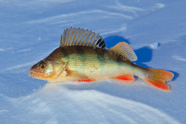 Similar image 22140584