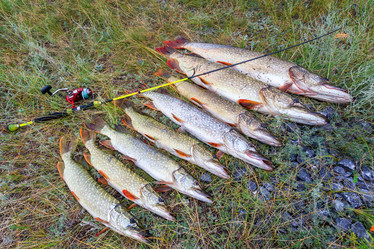 Similar image 22133506