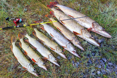 Similar image 22133508