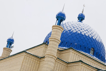 Similar image 22138509