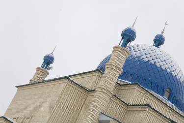 Similar image 22138510