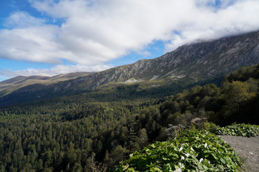 Similar image 22139440