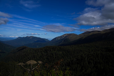 Similar image 22139443