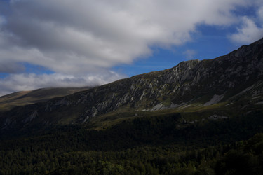 Similar image 22139446