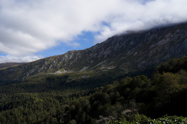 Similar image 22139447