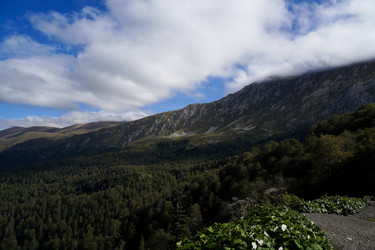 Similar image 22139448