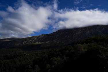 Similar image 22139451