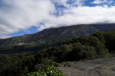 Similar image 22139454