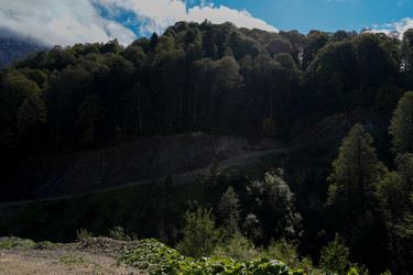 Similar image 22139458