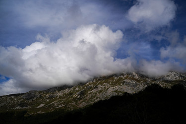 Similar image 22139476