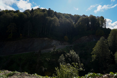 Similar image 22139479