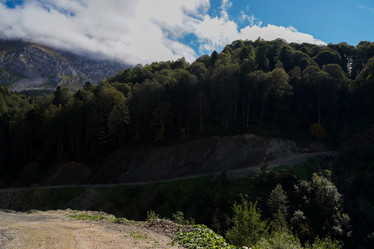 Similar image 22139481