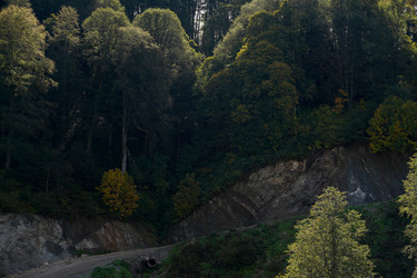 Similar image 22139482