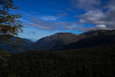 Similar image 22139484