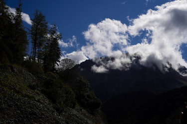 Similar image 22139485