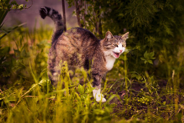 Similar image 22138759