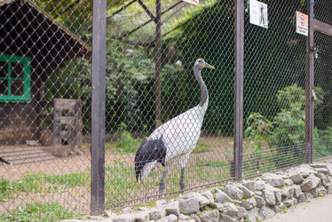 Similar image 22138761