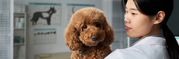 Similar image 22145030