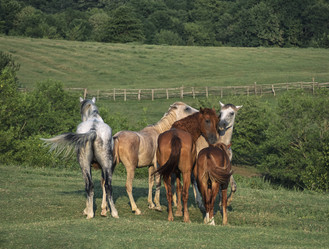 Similar image 22139893