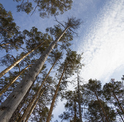 Similar image 22149976