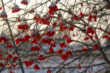 Similar image 22143978