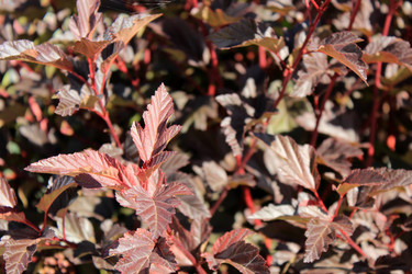 Similar image 22140050