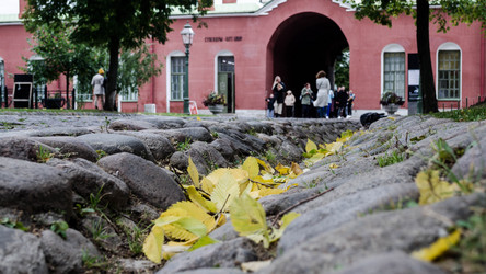 Similar image 22134757