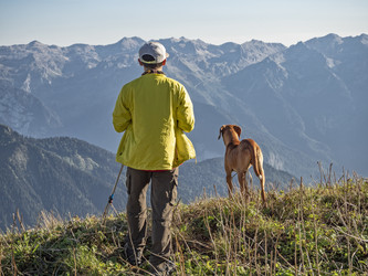 Similar image 22139936