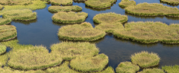 Similar image 22139939