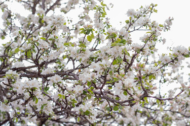 Similar image 22158913