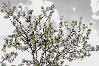 Similar image 22158915