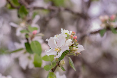 Similar image 22158916