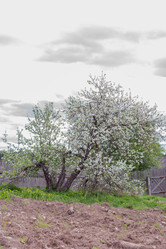 Similar image 22158917