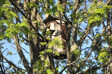 Similar image 22140053