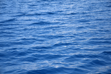 Similar image 22139102