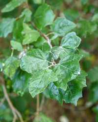 Similar image 22140168