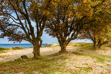 Similar image 22140171