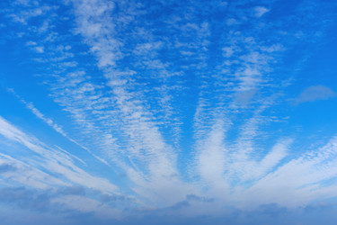 Similar image 22140183