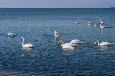 Similar image 22140186