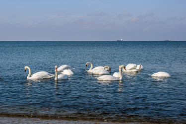 Similar image 22140188