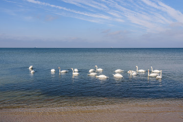 Similar image 22140189