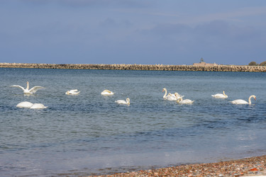 Similar image 22140190