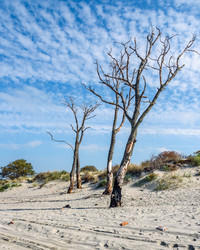 Similar image 22140193