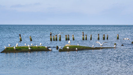 Similar image 22140195