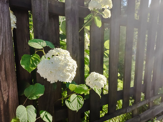 Similar image 22139958