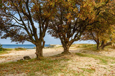 Similar image 22140208