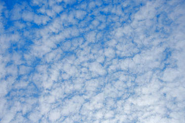 Similar image 22140215