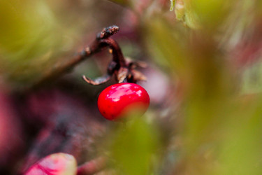 Similar image 22134724