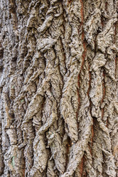 Similar image 22140221