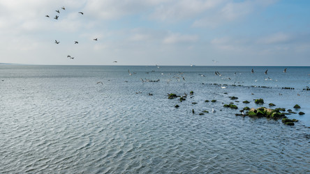 Similar image 22140225